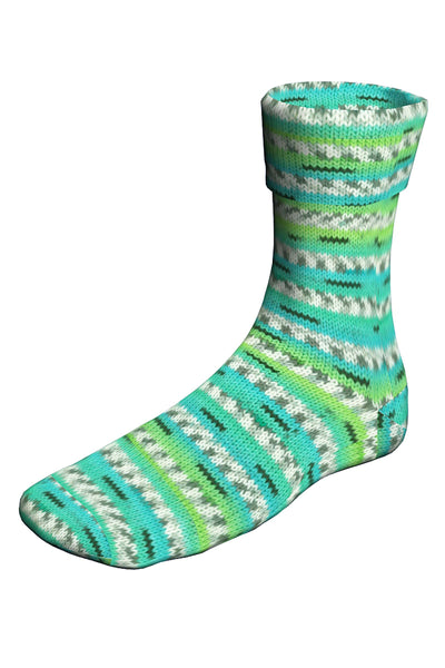 Lang Super Soxx Color 4-Ply