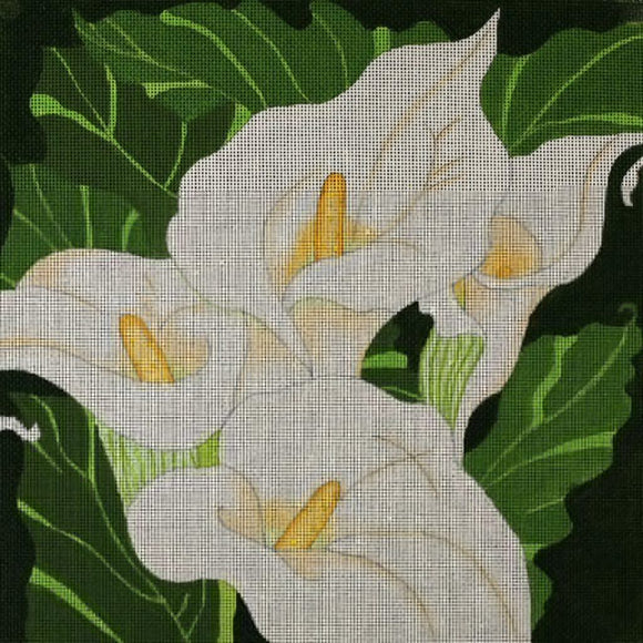 Giant Calla Lillies (ED-926)