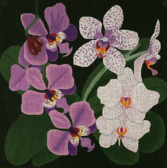 Giant Orchids (ED-980)