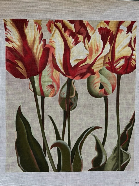 Asiatic Tulips (AP-411)