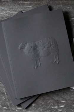 Farm to Needle: Stories of Wool