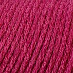 CW220 Provincial Rose