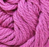 CW235 Begonia Passion