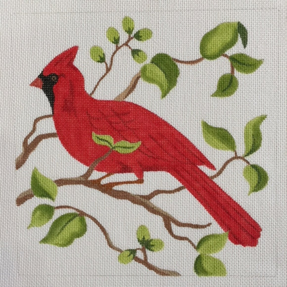 Cardinal (PLB2345)