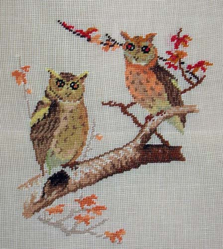 A4030 Owls