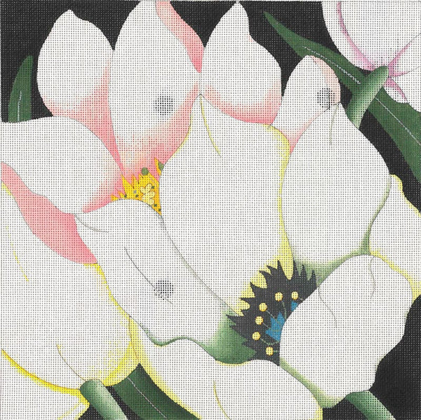 Giant White Tulips (ED-8887)