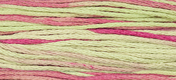 Weeks Dye Works Embroidery Floss* (#1033 - #1337)