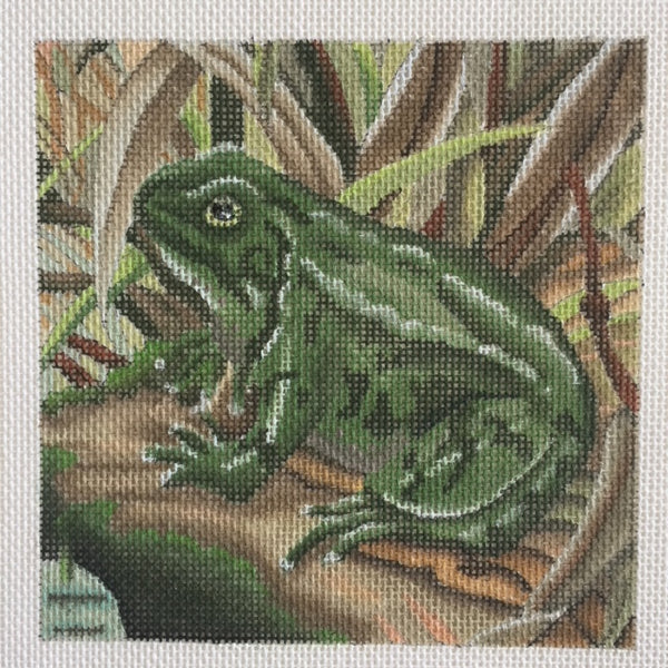 Frog* (353-A)