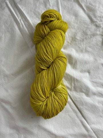 Bird & Begonia Sport