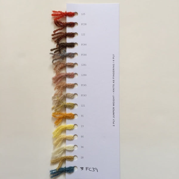 Jamieson & Smith 2-Ply Jumper Weight (Color # 1279 - FC79)