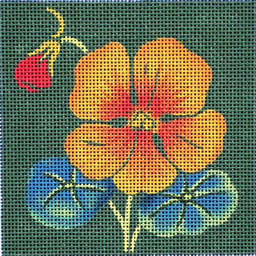 Nasturtium (M-1493)