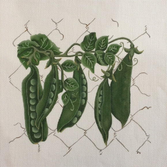 Peas on the Fence* (281-B)