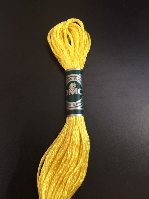 DMC Rayon/Satin Embroidery Floss