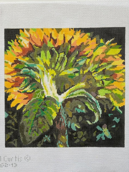 Sunflower (CV-262-13)