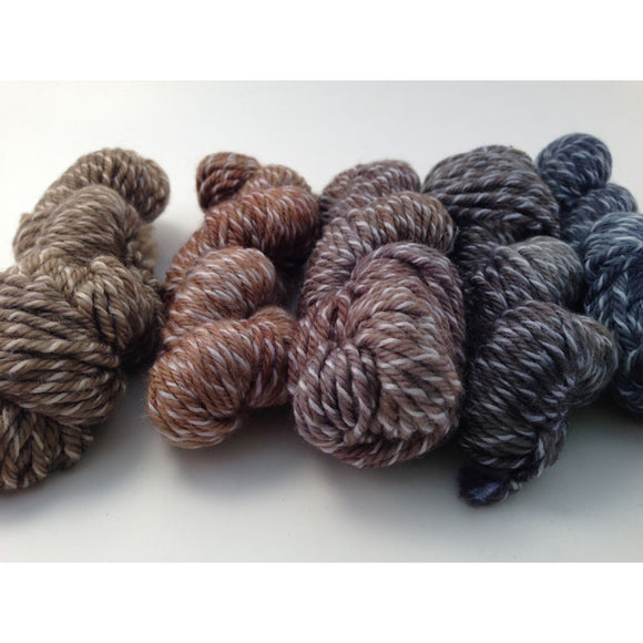 Perspectives Tan/Steel Twizzlefoot