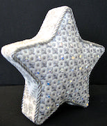 Mara's Big Star Silver Ornament (WG12355)