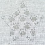 My Best Friend's Star Silver Ornament (WG12363B)