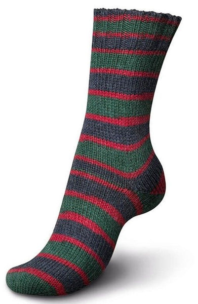 Regia 150g 6 Ply Sock