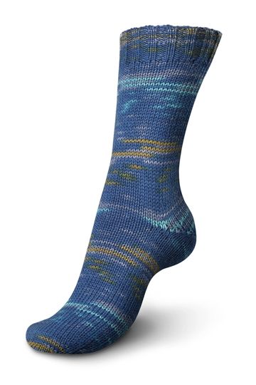 Regia 150g 6 Ply Sock